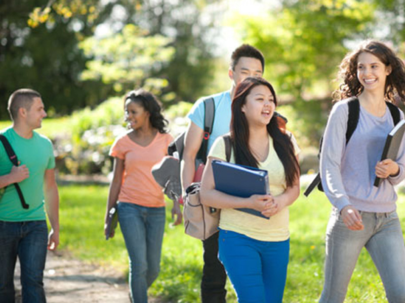 网页版短信攻击